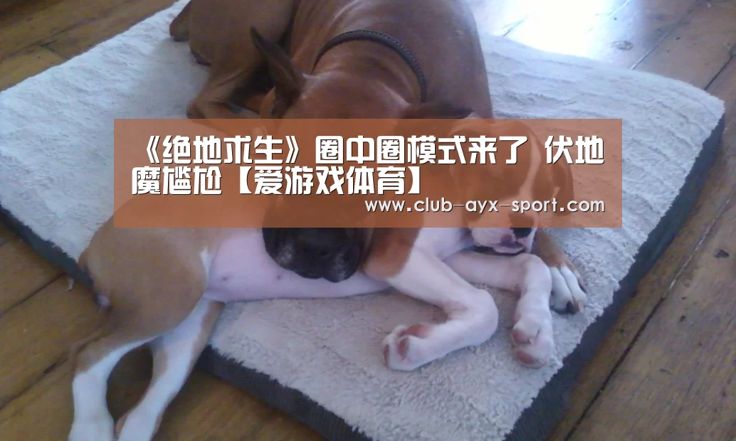 《绝地求生》圈中圈模式来了 伏地魔尴尬【爱游戏体育】(图3) 爱游戏体育