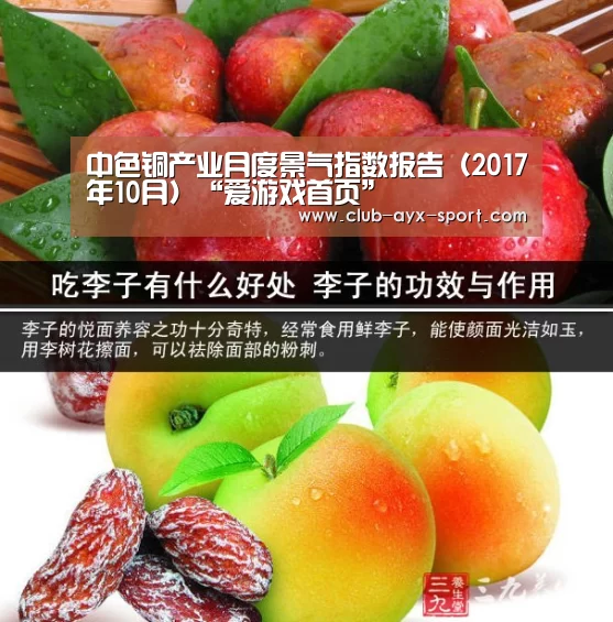 中色铜产业月度景气指数报告(2017年10月)“爱游戏首页”(图3) 爱游戏首页