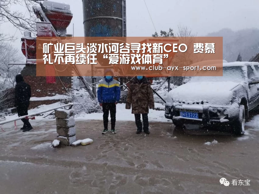 矿业巨头淡水河谷寻找新CEO 费慕礼不再续任“爱游戏体育”(图3) 爱游戏首页