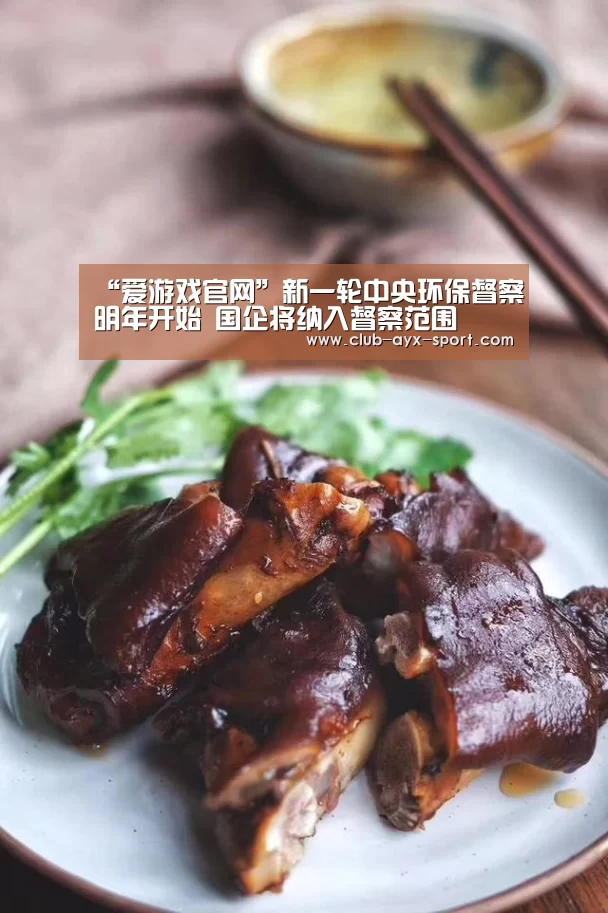“爱游戏官网”新一轮中央环保督察明年开始 国企将纳入督察范围(图3) 爱游戏官网