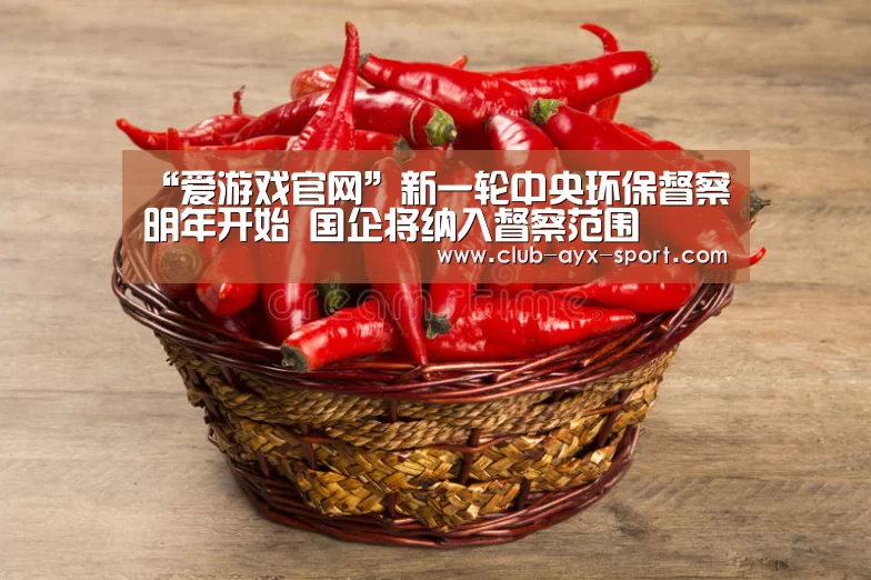 “爱游戏官网”新一轮中央环保督察明年开始 国企将纳入督察范围(图2) 爱游戏首页