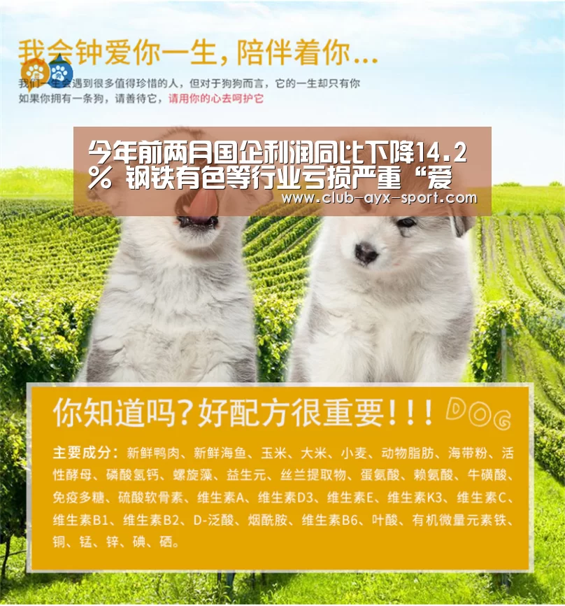 今年前两月国企利润同比下降14.2% 钢铁有色等行业亏损严重“爱游戏体育”(图3) 爱游戏