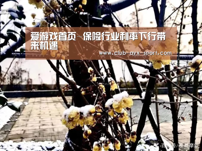 爱游戏首页-保险行业利率下行带来机遇(图2) 爱游戏