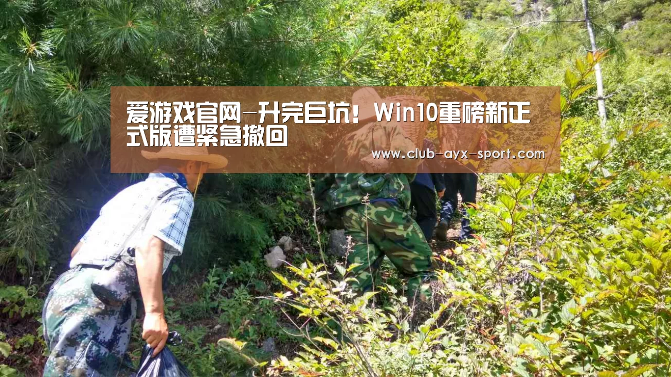 爱游戏官网-升完巨坑!Win10重磅新正式版遭紧急撤回(图2) 爱游戏体育